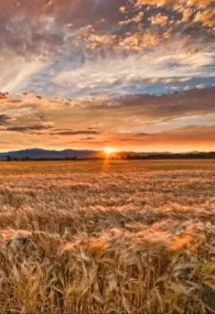 Безмолвная тишина