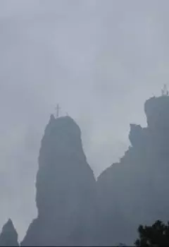 Большой Замкнутый Круг Жизни