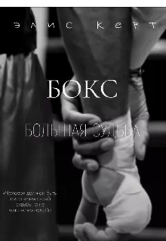 Бокс – Большая Судьба.