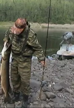 Браконьеры