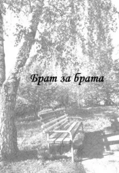 Брат за брата