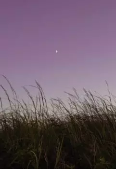 Будешь говорить о философских временах?