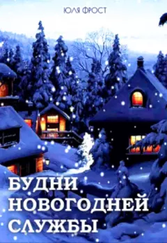 Будни Новогодней службы