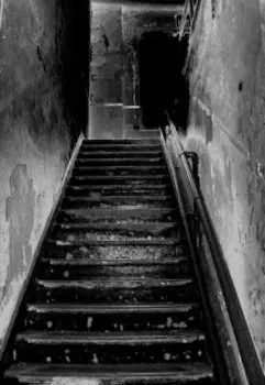 Будни полицейского переводчика