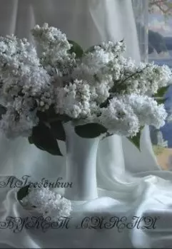 Букет белой сирени. Сборник поэзии