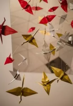 Бумажные звезды, бумажные города