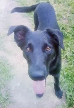 Частица нашей души