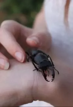 Человек из Красной книги