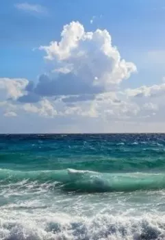 Чешуя любви не помеха!