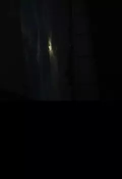 Чистокровные. Дитя древней крови.