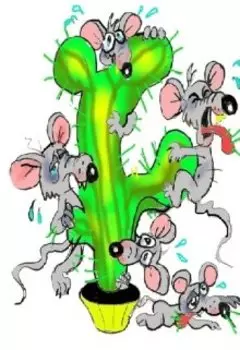 Читать или не читать