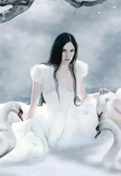 Чёрные лебеди