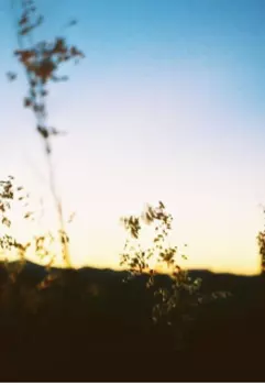 Что с тобой не так?