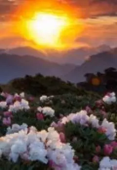 Что там за закатом?