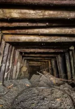 Чтобы выжить