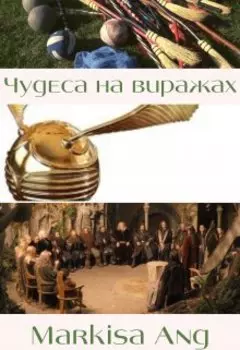 Чудеса на виражах