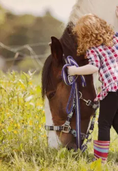 Чувства волнуются раз...