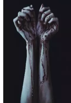 Чувство смешанное с кровью