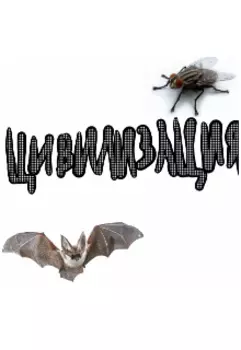 Цивилизация