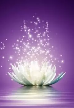 Цвет лотоса