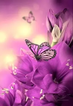 Цветочное поле