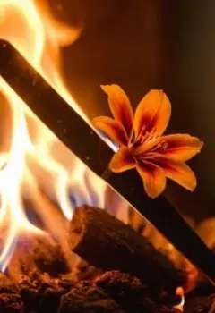 Цветок и Клинок