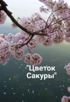 Цветок сакуры