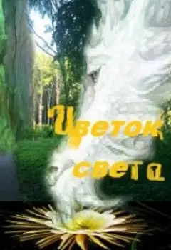 Цветок Света