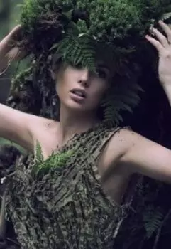 Цветок Вайя