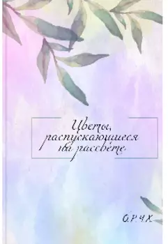 Цветы, распускающиеся на рассвете