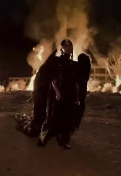 Цветы в волосах