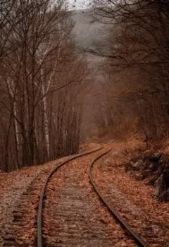 Давай уедем