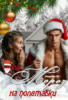 Дед Мороз на полставки