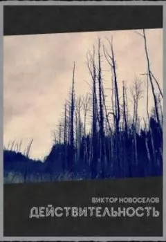 Действительность