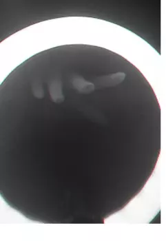 Демогорген и не только.