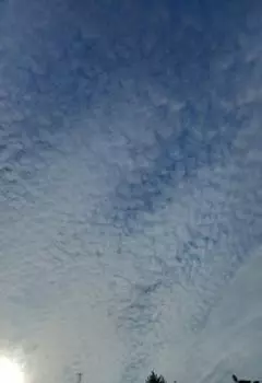 Демон и ангел