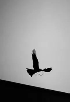 Деревенские Истории. Любимица Домового.