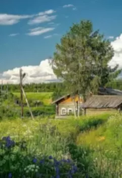 Деревня Сокольник