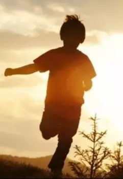 Дерево у забора