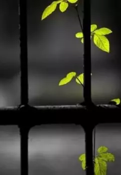 Десять Лет Счастья