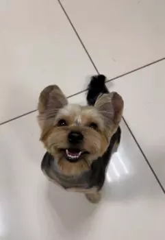 Детективное агентство «рбч». Происшествие на теплоходе