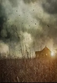 Дети пшеничного поля