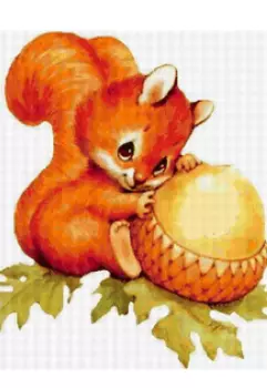 Девочка и белочка