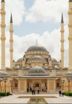 Девочка и гам