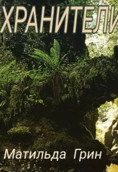 Девять Водопадов Света. Книга I: Хранители