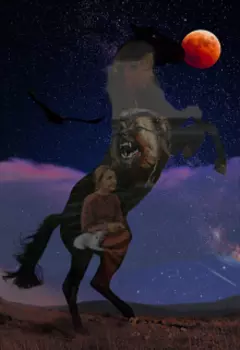 Дикие тропы. Ночной конь