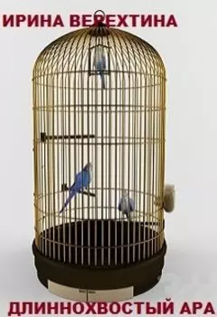 Длиннохвостый ара