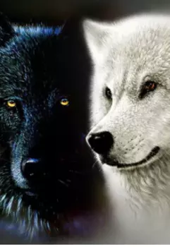 Для двух Альф