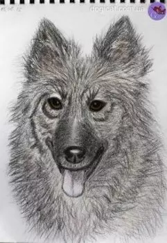 Дневник #фокси_gaia