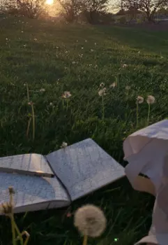 Дневники Влюблённых